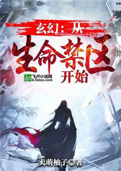 影子战术将军之刃